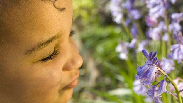 Treating Seasonal Allergies in Children