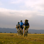Title: Men’s Health Guide: What to Know and Watch For