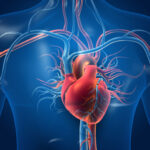 Title: Is Your Heart at Risk? How to Find Out Before a Crisis.