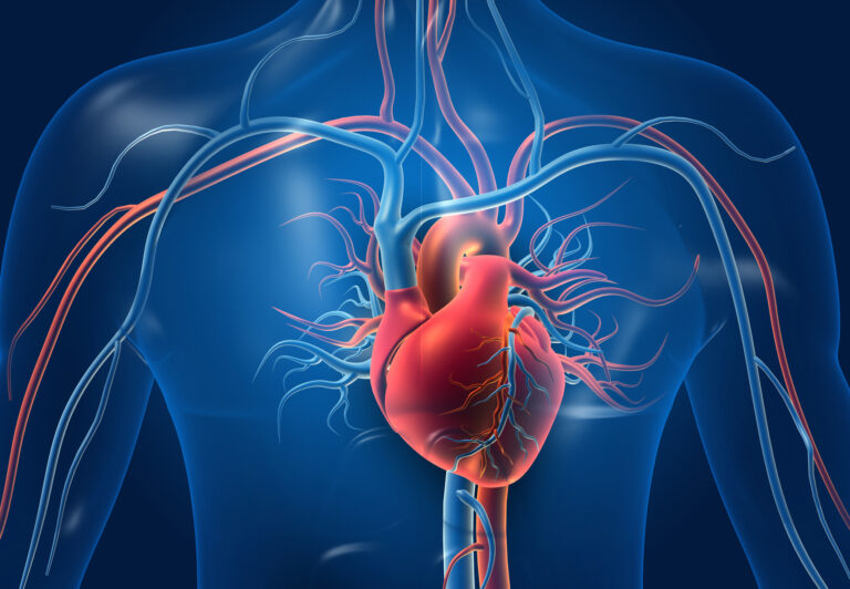 Is Your Heart at Risk? Here is How to Find Out