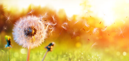 Why Are My Allergies Worse This Year?