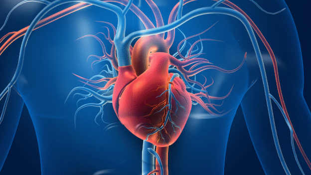 Heart Attack Symptoms: It’s Not Always Chest Pain