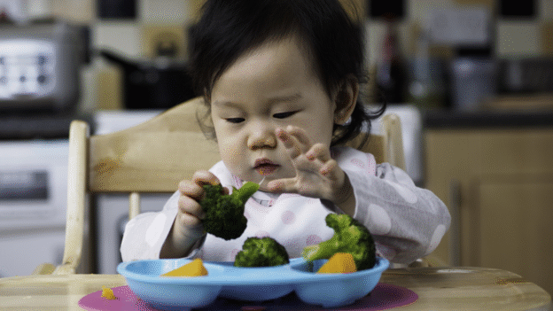 What Is IgE-Mediated Food Allergy?